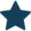 custom_website